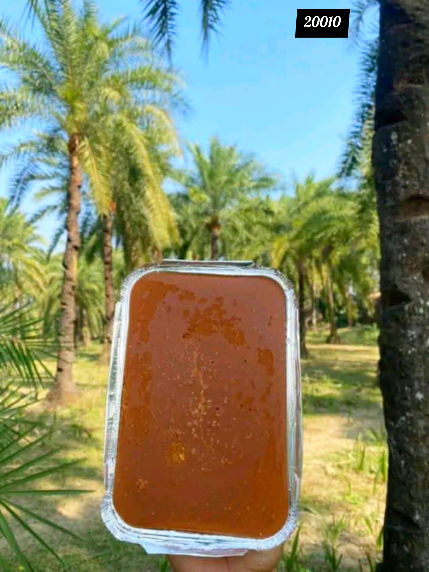 খাঁটি খেজুরের রস থেকে তৈরি প্রাকৃতিক ফয়েল পাটালি গুড় ১ কেজি 20010